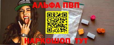 спиды Кингисепп