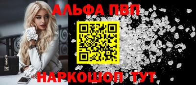 спиды Кингисепп