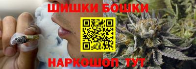 спиды Кингисепп
