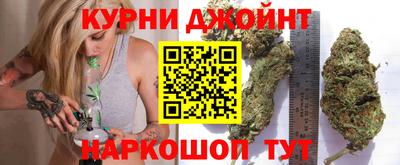 спиды Кингисепп