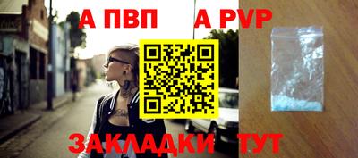 спиды Кингисепп