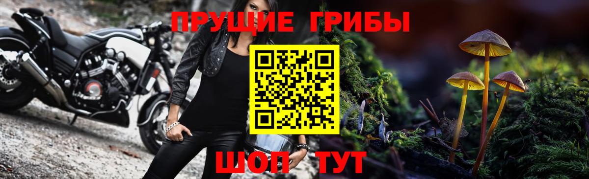 Волхов  Галлюциногенные грибы мицелий  Вход с VPN 