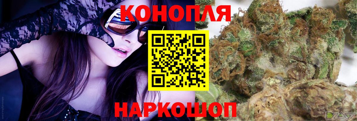Каннабис OG Kush Волхов
